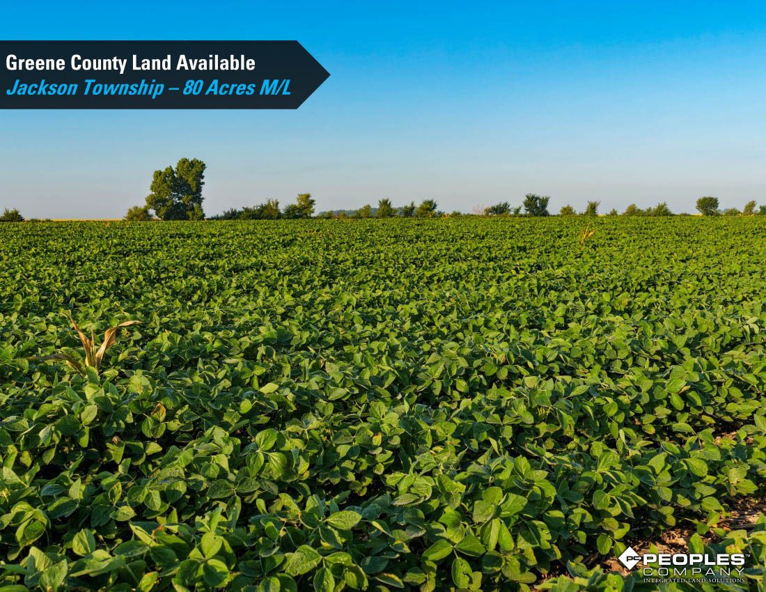 Listing Photo: Greene-County-Iowa-Farmland-Available-80-Acres-Scranton-Jefferson-19706 (12)